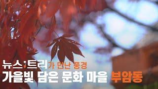 [다큐;트리] '기생충' 계단부터 시인의 언덕까지...부암동 문화골목(Korean landscap)(4K)