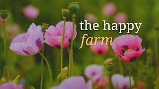 Mindfulness and Regenerative Agriculture | The Happy Farm Project