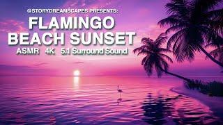 Flamingo Beach Sunset Story Dreamscape - Relaxing ASMR and Soothing Imagery for a Calm Chill Vibe