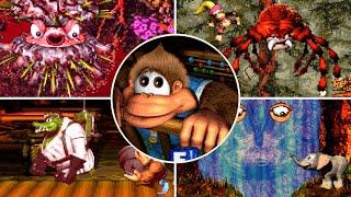 Game Over: Donkey Kong Country 3 | in All Boss Battles