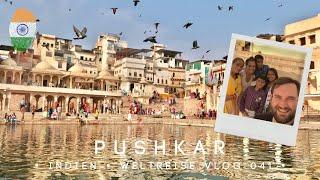 Totale Reizüberflutung - Kamelmarkt im heiligen Pushkar • Indien • Weltreise Vlog 041