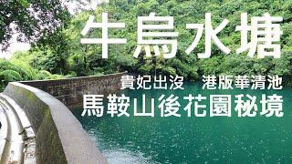 牛烏水塘4K  馬鞍山後花園秘境 貴妃出沒港版華清池 #牛烏水塘 #烏溪沙 #秘境 #屯馬線