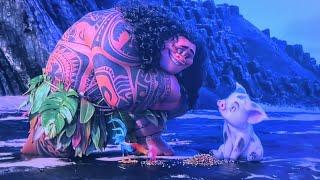 Maui Is Hungry For Pig Pua Moana 2