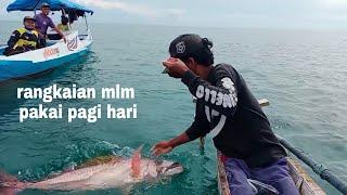 Mancing kurisi buabon pakai rangkaian mengundang segala ikan dasar # ala papa. RETTE mania