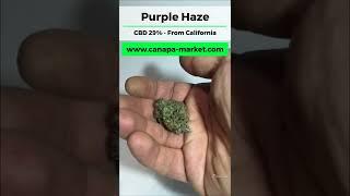 CBD Top Quality - Purple Haze - Cannabis Light by canapa-market.com