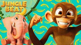 Complete Season 8 | Full Episodes! | Jungle Beat: Munki & Trunk | Kids Cartoon 2024