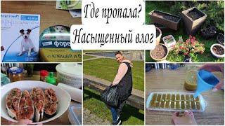 МОЩНАЯ МОТИВАЦИЯ *САЖУ ЦВЕТЫ *ЗАЩИТА от КЛЕЩЕЙ #уборка #мотивациянауборку #хранение Юлия Пушнегина