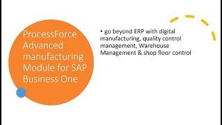 ProcessForce Advanced Digital Manufacturing Module for SAP Business One 20231114 Meeting Recording