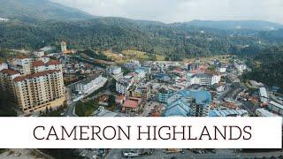 Tempat best dan menarik di cameron highland