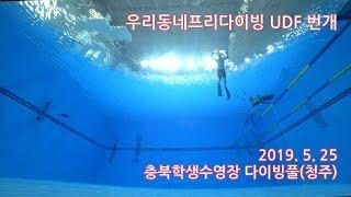 프리다이빙 청주 번개 충북학생수영장 가다! 다이나믹 트레이닝!! Freediving Group Training