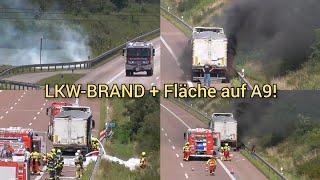 LKW-BRAND + Fläche nach Reifenplatzer auf A9! Einsatzfahrten zum LKW-Brand bei Bitterfeld-Wolfen