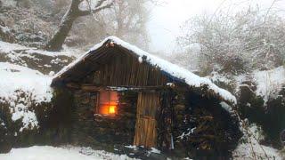 Building Winter Bushcraft Survival shelter |  100 days living alone | Camping, extreme cold weather