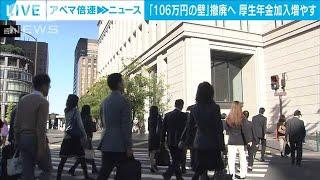 「106万円の壁」収入条件を撤廃へ　厚生年金加入増やす(2024年11月8日)