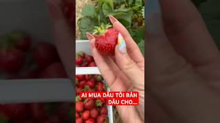 STRAWBERRY PICKING RẢNH RỖI…#chicago #farm