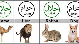 Halal and Haram Animal Meat in Islam