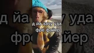 Брат #фф #фрифаер #бибизян #ffshorts