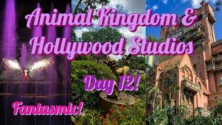 FLORIDA DAY 12! Animal kingdom + Hollywood Studios + FANTASMIC 