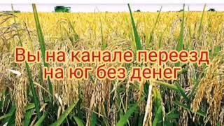 Крымск , Абинск, Новоукраинский, Экономическое, Киевское,  прокатимся  #переезд #жизьвдеревне