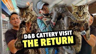 D&B PET MARKET CATTERY VISIT | NOVEMBER 19, 2024