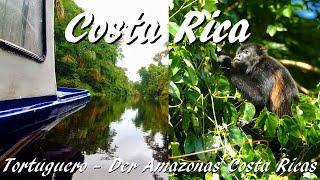 Costa Rica: Tortuguero - mit dem Boot unterwegs im wilden Teil der Karibik