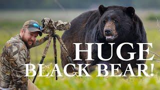 I waited 8 hours for this! | Wildlife Photography | Huge Black Bear