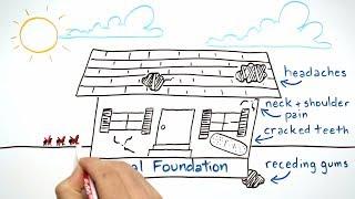 How Dr. Hal Stewart Strengthens Your Oral Foundation (Whiteboard Animation)