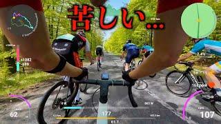 久々のレースで呼吸困難！？フランクフルト市民ロードレース100kmに出場してみた結果【Eschborn Frankfurt 2024】