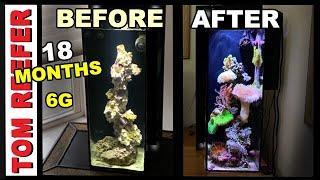 How I Made A 6 Gallon Reef Tank (18 Month History! )