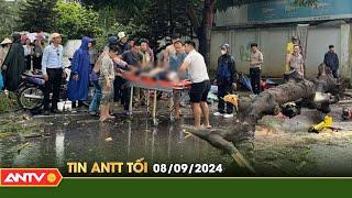 Tin tức an ninh trật tự nóng, thời sự Việt Nam mới nhất 24h tối ngày 8/9 | ANTV