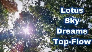 Lotus Sky Dreams-Top-Flow-Best Free Music Resources for YouTube and Social Media