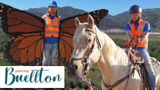 Outdoor Playground and Horseback Riding | Handyman Hal meets awesome animals #discoverbuellton