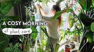 Rehabbing, Pest-Treating + Pottering With Plants  Plant Chores and Chat