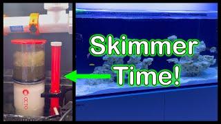Red Sea Reefer G2 Reef Tank Build | Adding New Skimmer (Reef Octopus)