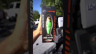 This Swimbait was only SEVEN DOLLARS?! #fishing