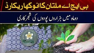 A unique record of PHA Multan - Plantation of thousands of saplings in 2 months.