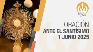 Adoración al Santísimo Domingo 1 Junio de 2025, Padre Luis Fernando Palacio  Ora Con Dios