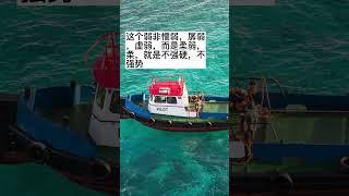你悟透了吗？”反者道之动， 弱者道之用”之“弱者道之用” #人生 #智慧 #shorts
