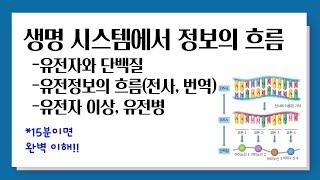 [개정 통합과학] 생명 시스템에서 정보의 흐름 l 유전자와 단백질, 전사, 번역, 유전병