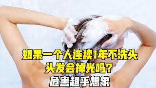 如果一個人連續1年不洗頭，頭發會掉光嗎？危害超乎想象！