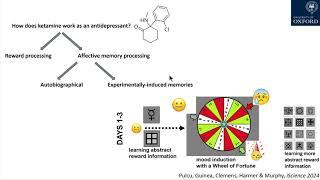 4-Minute Neuroscience: Decisions between affective memories