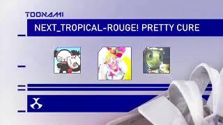 Toonami (2013) Fanmade/Custom Line-Up #1: Pucca, TroPre and Running Man