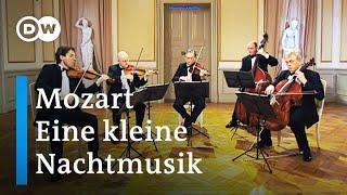 Mozart: Eine kleine Nachtmusik | Gewandhaus Quartet with Stefan Adelmann (double bass)