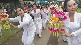 Tari Pemendak Tunjung Pancawarna kolosal di Pura Lingsar Lombok (Ayah2an Puri Agung Klungkung)