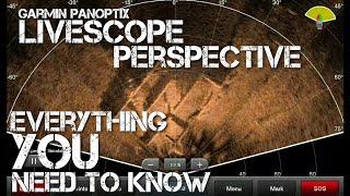 LiveScope Perspective - Everything You Need to Know