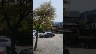 #흘러간옛노래 #아씨 (이미자 ) #박진광 #숨은명곡