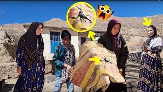 Uninvited Guest: Dangerous Scorpion on Fariba and Doora Farm