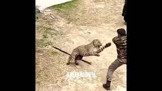 дикие планета