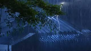 Fall asleep in less than 5 minutes with heavy rain and thunder in the forest at night