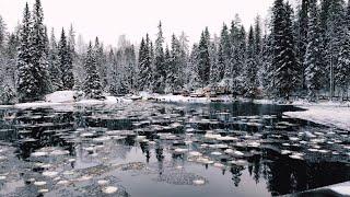 Сказочная Карелия ️🫶