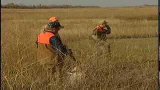 Preview of Pheasant hunting in South Dakota by Sunrise productions